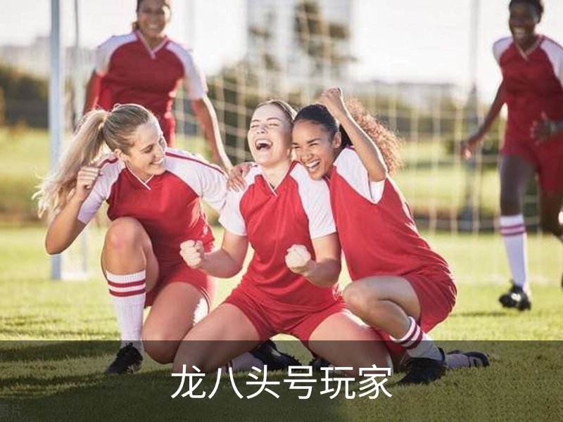 走进龙八头号玩家